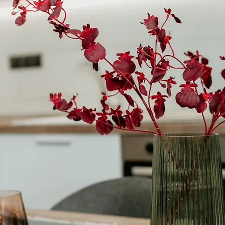 Casa de hóspedes Urban Elegance In Tessalónica